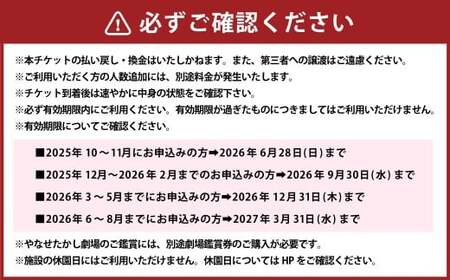 【日付指定WEBチケット】 名古屋アンパンマンこどもミュージアム＆パーク×3枚（入場チケット3名様） ／ テーマパーク ショー イベント 施設利用券 商品券 こども 子供 親子 家族