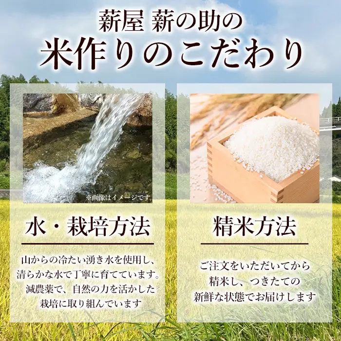 鹿児島県産ひのひかり(5kg) 【薪屋 薪の助】 A960-v01