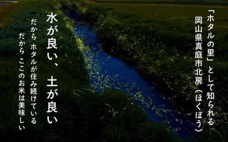 米 精米 令和8年産 岡山ほたる米 きぬむすめ 精米5kg (岡山県真庭産) 【KF-R003-02】