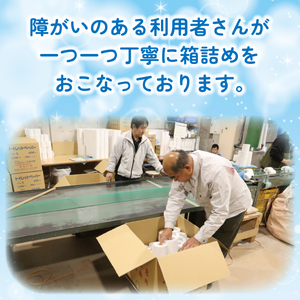 【2026年6月～順次発送】 トイレットペーパー 100ロール シングル 備蓄 防災 消耗品 生活用品 エンボス加工 社会福祉法人 見晴学園 そらいろ 静岡県 三島市