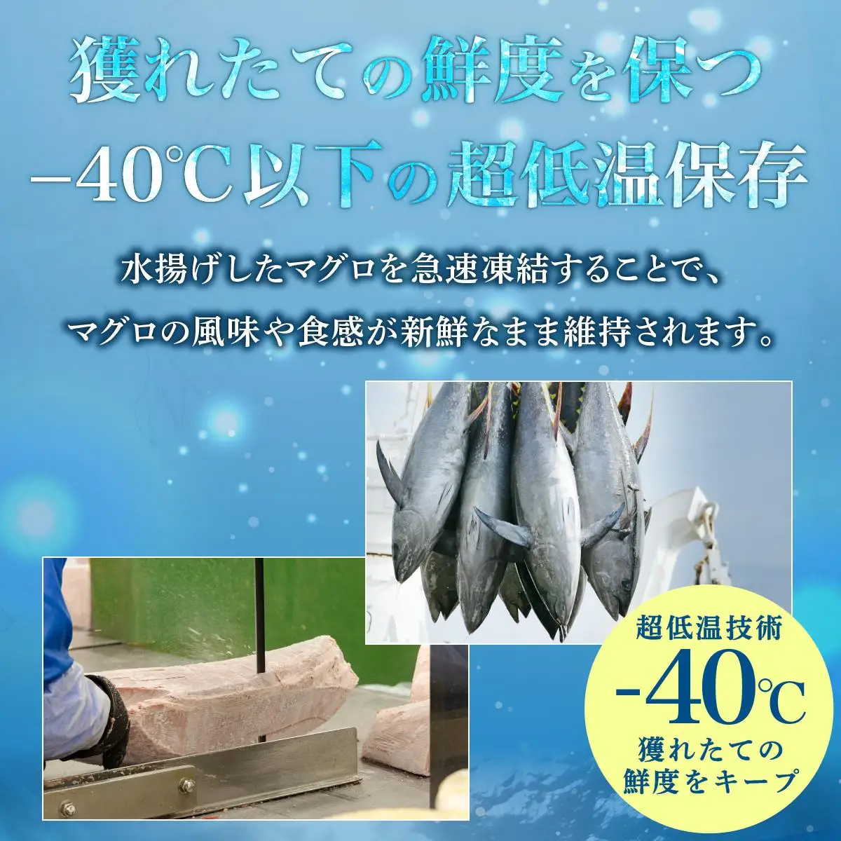まぐろたたき 500g×2P LZ008
