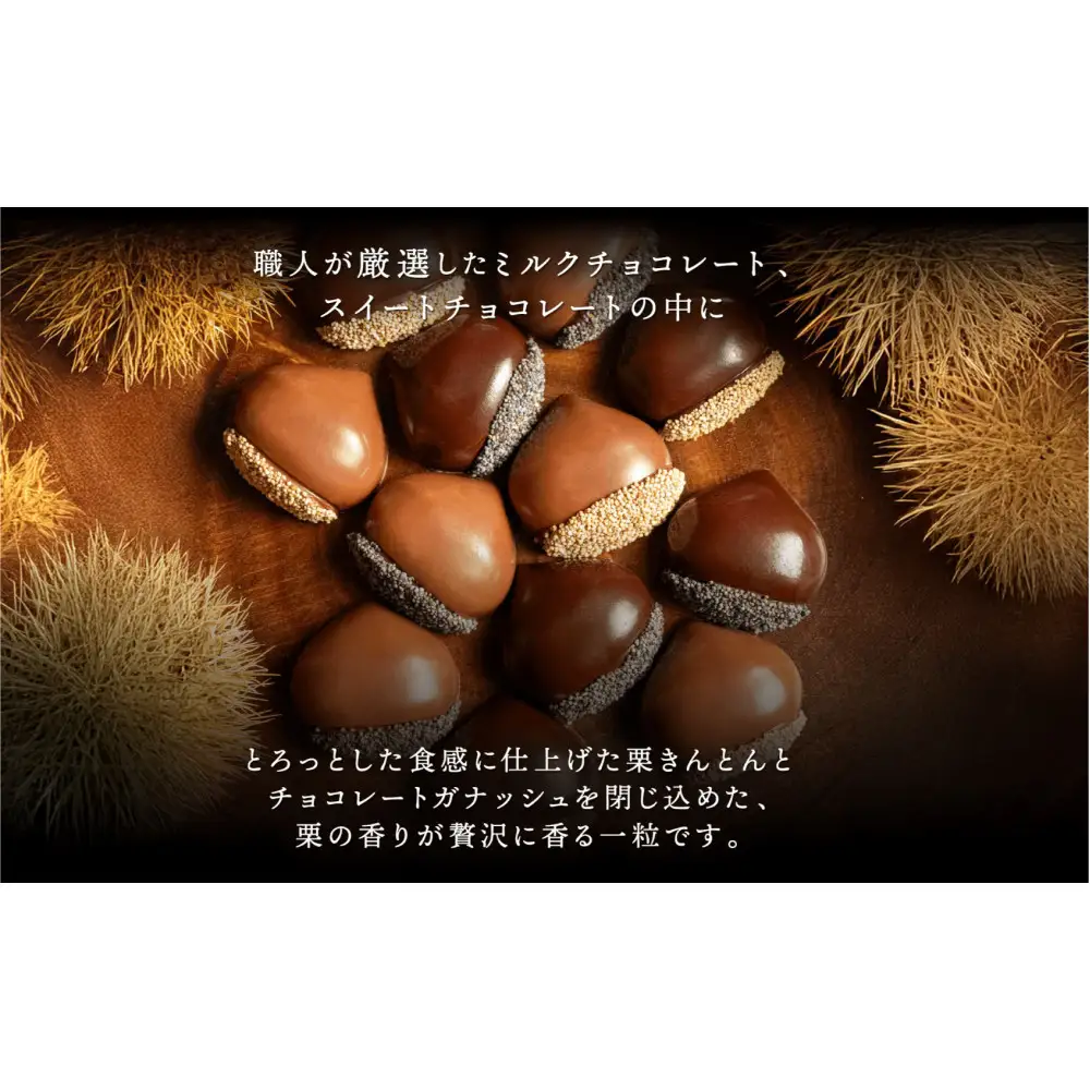栗りん 【11月上旬から順次発送】まるで栗のような贅沢チョコレート「 ぜいたく一粒 栗きんとんちょこら 」栗きんとん × チョコレート プレゼント スイーツ ギフト 栗きんとん チョコ 送料無料 お取り寄せ 和栗スイーツ 和栗