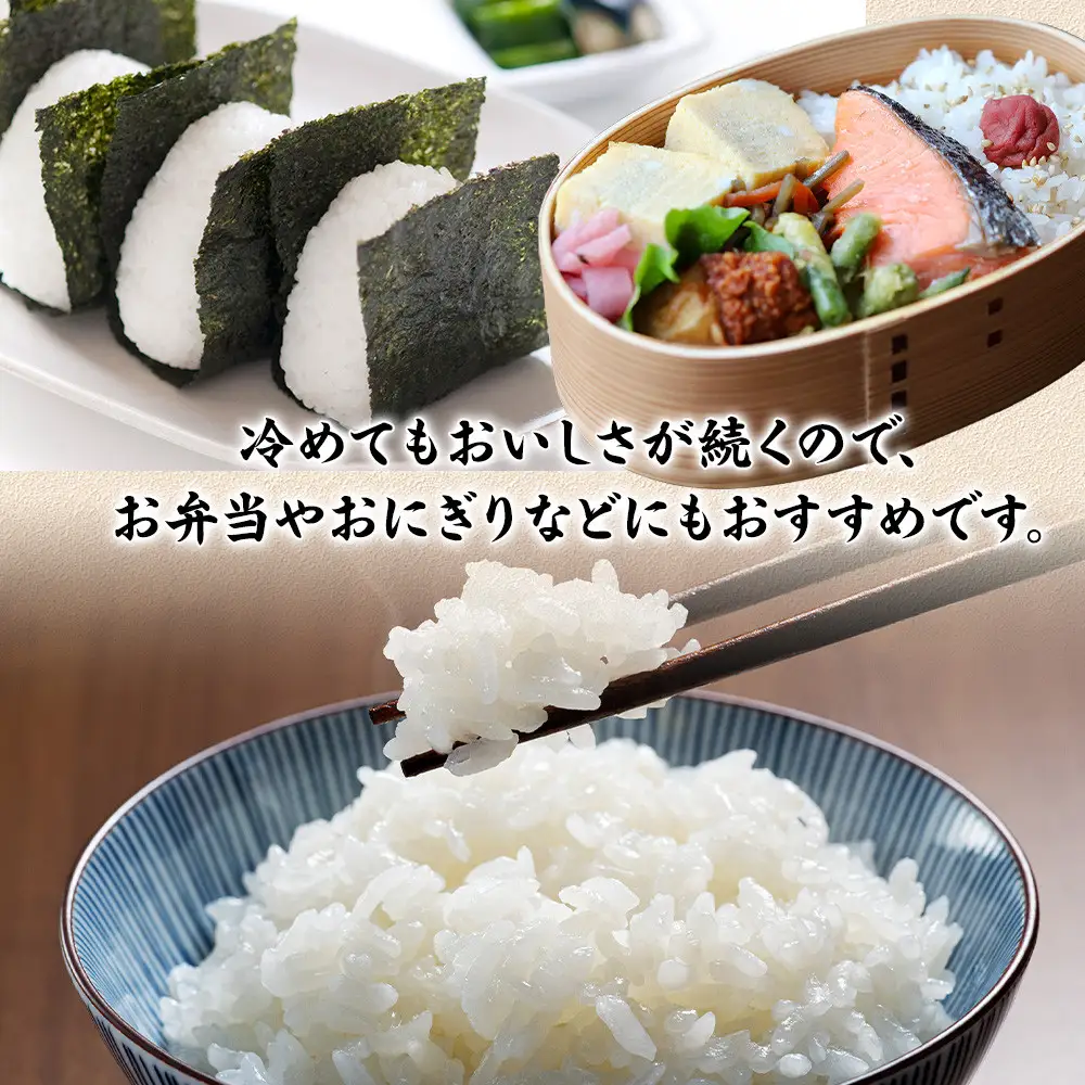【ふるなびWEEK対象】令和7年産　富水米　精米　5kg　にこまる ●