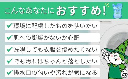 洗濯洗剤 緑の魔女ランドリー500ml×20袋セット 詰め替え用 洗剤+パイプクリーナー