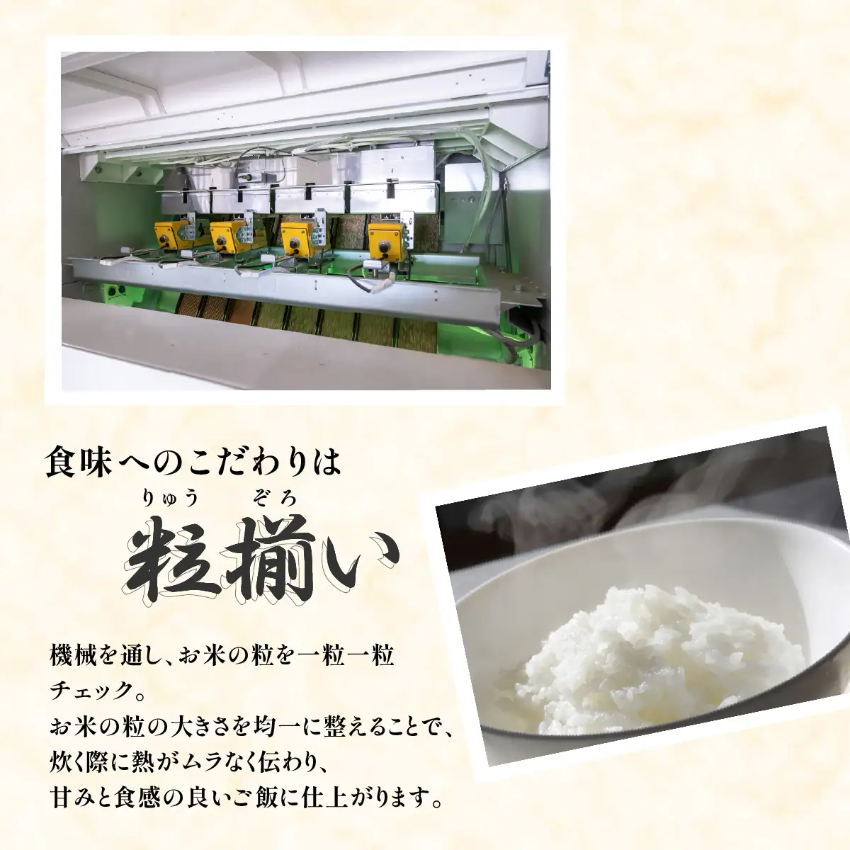 米 白米 コシヒカリ 10kg 精米 令和7年産 茨城県産