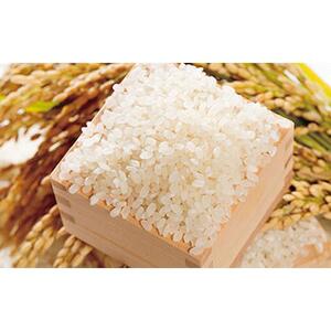 筑北村産こしひかり（5kg） 