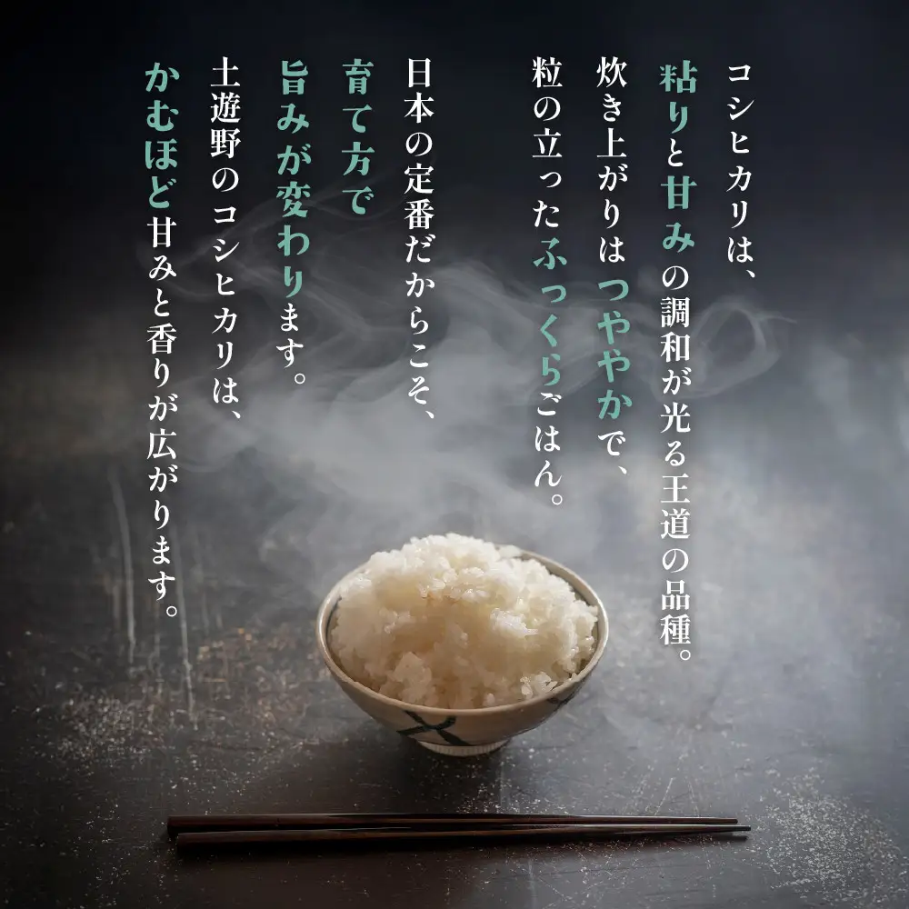 有機米 コシヒカリ 10kg　棚田-tanata-（有機JAS認証米） 米 白米 精米