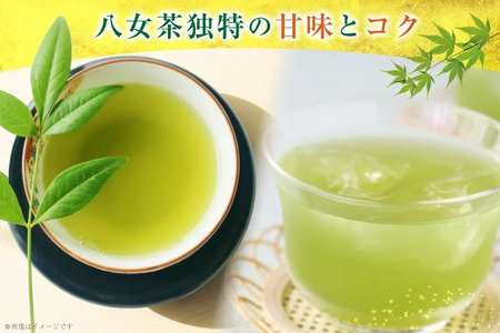 八女茶 特上 煎茶 100g 2セット [um40beg040043] 八女茶