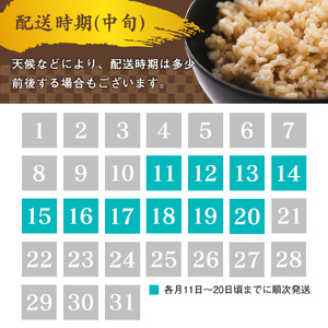 【令和8年産】《6回定期便：10月開始毎月コース》 はえぬき 玄米 合計60kg （10kg（5kg×2袋）× 6回）  山形県産 【 新米 】  120-C-JF017-毎月-R8