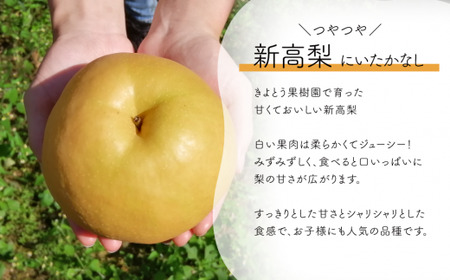 新高梨 上級品 3-6玉 (岡山県産)【KF-C002-01】
