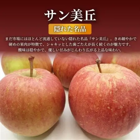 【青森直送 季節の味覚をお届け!】サン美丘 5kg×1箱(家庭用)青森産 産地直送 限定生産【配送不可地域：離島】【1700929】