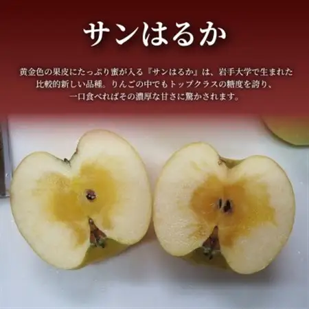 【青森直送 季節の味覚をお届け!】サンはるか 5kg×1箱(訳あり)青森産 産地直送 限定生産【配送不可地域：離島】【1700935】