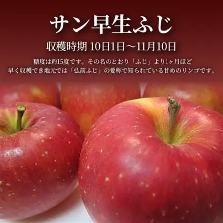 【青森直送 季節の味覚をお届け】サン早生ふじ 10kg×1箱(訳あり)2026年産 産地直 限定生産【配送不可地域：離島】【1700979】