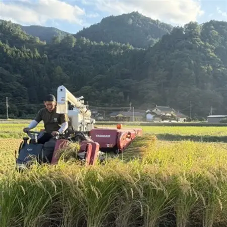 お試し!令和8年産〈先行受付〉9月より順次発送【蛇紋岩ブランド　別格米】計600g(2合×2袋)【1699907】