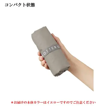 阪神タイガース承認　ふるさと納税限定デザイン　コンパクト保冷バッグ　1枚【1698139】