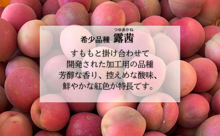 梅農園ジャム 100g×8個 ｜ 梅ジャム 無添加 相馬アグリ