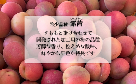 梅農園ドリンク 塩分プラス 180ml×10本 化粧箱入り