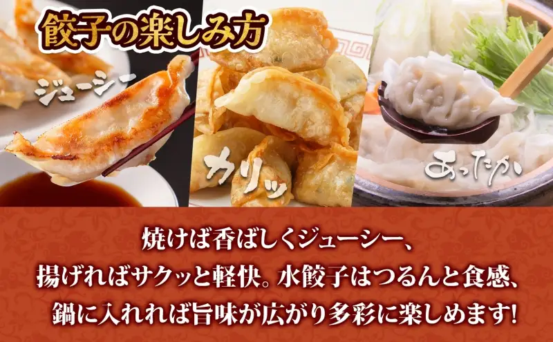 【大容量】北海道産豚肉のぎょうざ 120個!冷凍餃子 ギョーザ 国産 焼餃子 点心 滝川市 冷凍食品