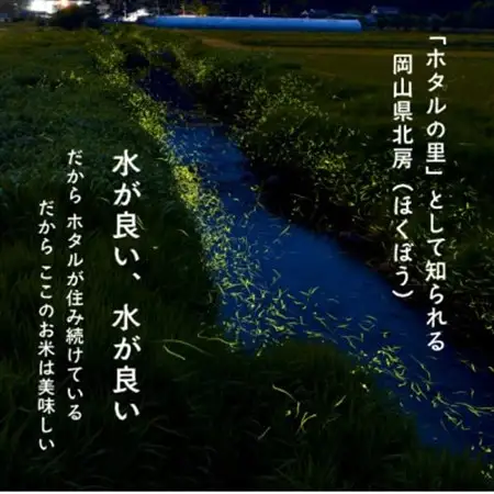 【令和8年産】新米 岡山ほたる米 きぬむすめ 精米5kg (岡山県産)【1701654】