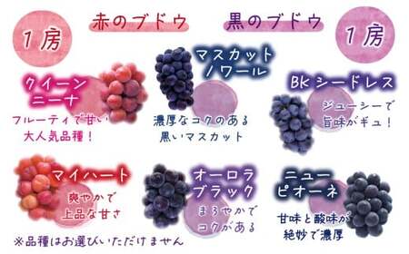 【2026年の先行予約】 花笑み農園 ぶどう 『彩り３種セット』家庭用（1.8kg） 岡山 詰め合わせ 食べ比べ 真庭市 【hana085-01】