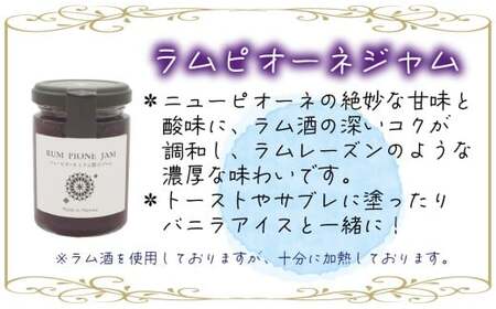 【2026年先行予約】花笑み農園 岡山の『シャイン&ラムピオーネジャム&飲む酢』S-JN【hana088-01】