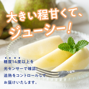 【2026年先行予約】西洋梨・ラフランスジュース詰め合わせセット　梨3～4個 ジュース 100％ 720ml 1本 フルーツ 果物 甘い ジューシー 糖度14度以上 飲料 安全安心 高品質 プレミアム 贈答品 贈答 数量限定 オーロラ シルバーベル 山梨県産 北杜市 [h039]