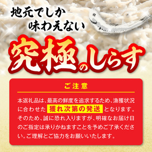 【とれたて直送】極しらす干し 500g N065-YA0509