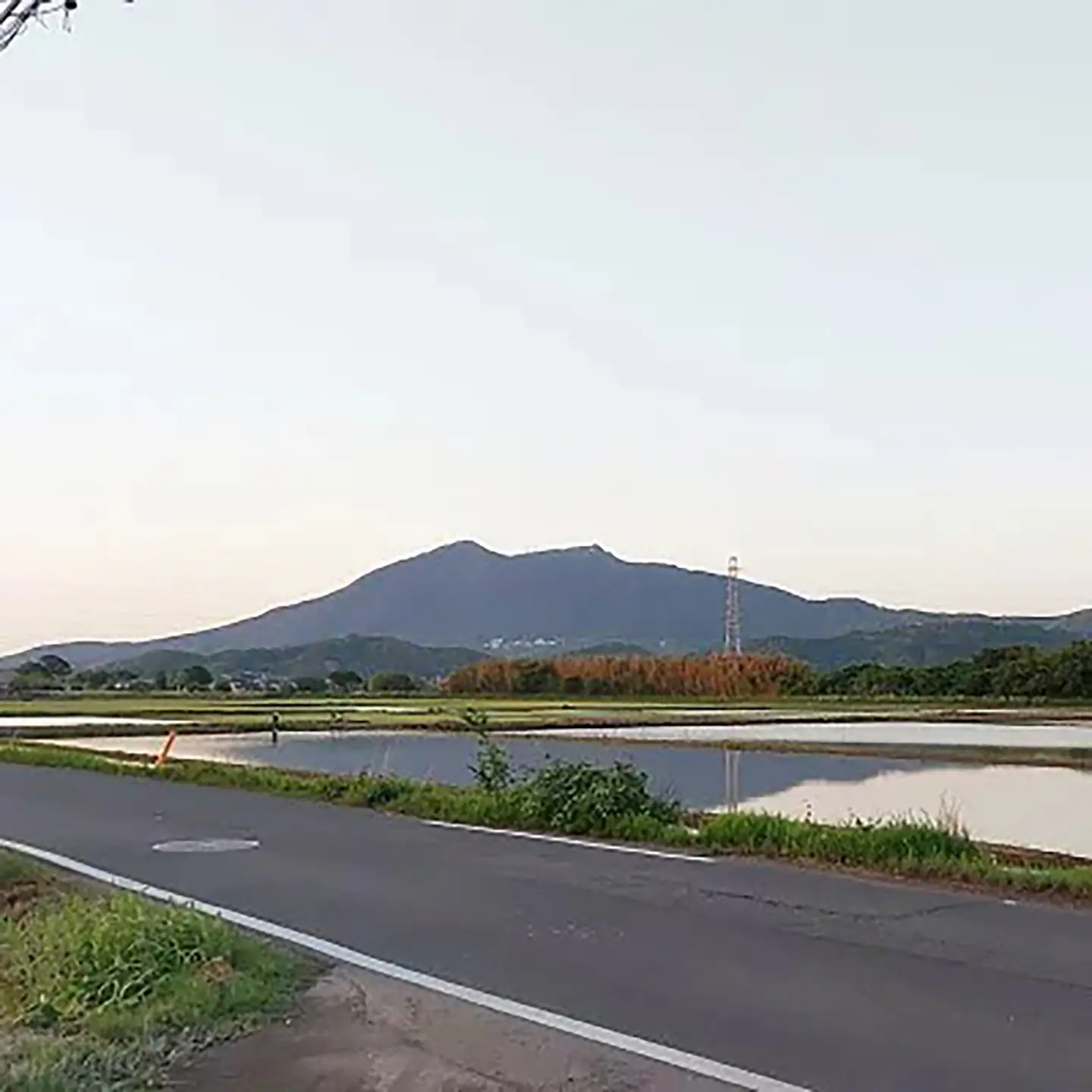 令和7年産 市左衛門農場コシヒカリ10kg(精米) こしひかり
