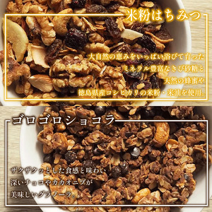 グラノーラ 6種 詰め合わせ グラノーラ
