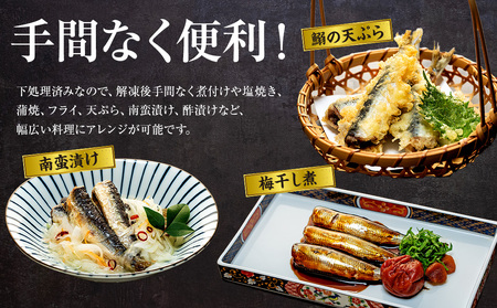 万能いわし 8匹 (約160g~180g) × 3袋 下処理済み