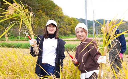 【AMAZAKE STAND】ノンアルコール 濃縮生あま酒 400ml×8本セット 冷凍 甘酒