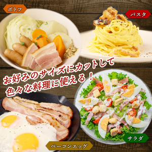 ベーコンスライス 1kg 500g×2袋 加工肉 豚肉 ベーコン キャンプ 肉 おかず バーベキュー アウトドア 豚バラ 料理 朝食 朝ごはん ソテー サラダ スープ パスタ グルメ 食品 越後ハム 新潟県 新発田市 echigohamu013-05_01