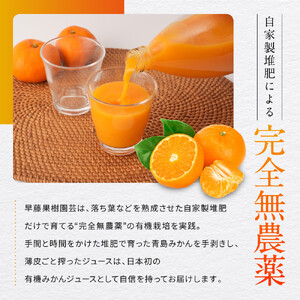 有機みかんジュース 果汁100%　1000ml×2本 | 湯河原町 有機農園 完全無農薬 青島みかん 朝食 ドリンク
