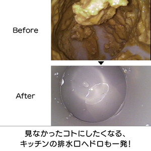 ピカットロンプロ２リットル_1245600341_00