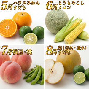 フルーツ 野菜 定期便 3回 定期