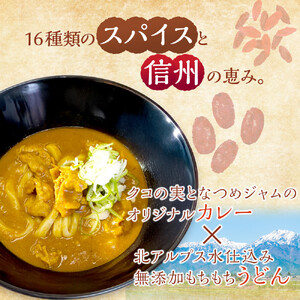 信州産小麦使用　冷凍薬膳カレーうどんセット　3人前