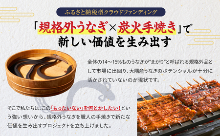 【 全12回 定期便 】 鰻 の 蒲焼 3尾（170g×3） KN026-T07 うなぎ 惣菜 総菜 魚