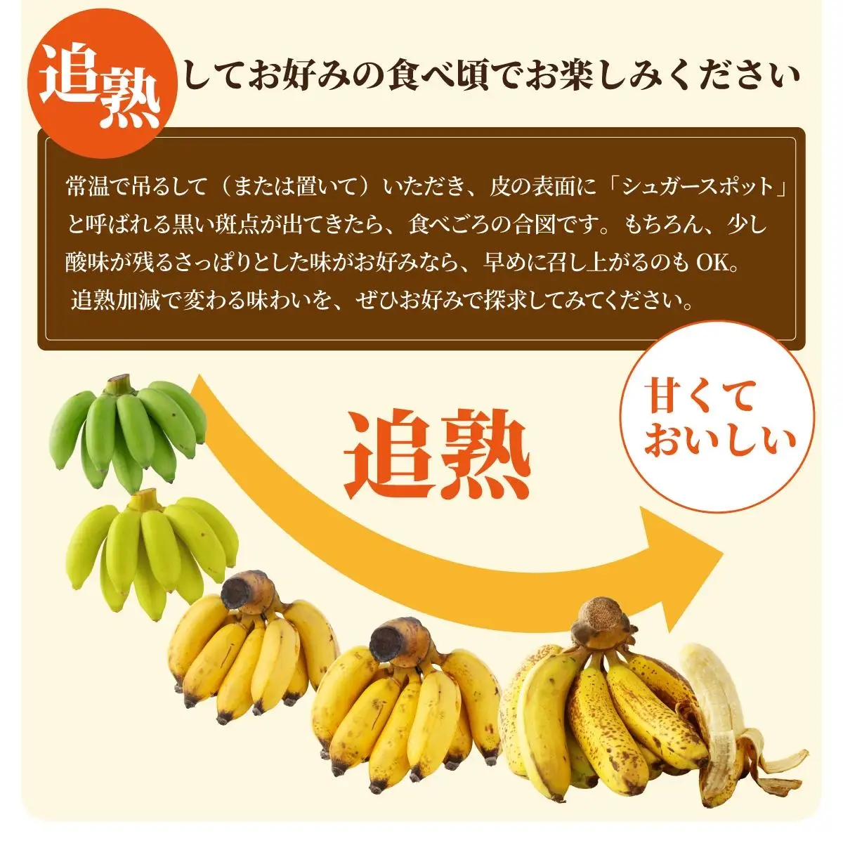 ＜訳あり＞ 大満足！石垣島産バナナ3房 