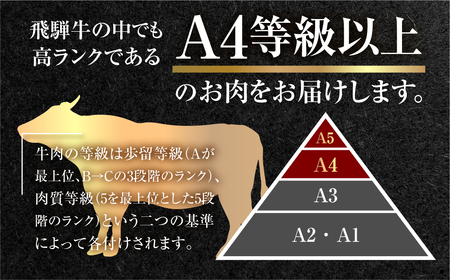 【発送月固定】飛騨牛お楽しみ定期便 3回 発送月固定