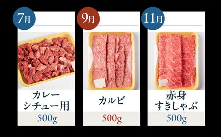【定期便】飛騨牛お楽しみ定期便 6回 肉 定期便