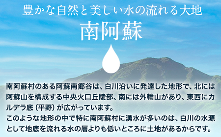 【6ヶ月定期便】白川水源 ミネラルウォーター タンク式  10L×2ケース ×6回《お申込み翌月から出荷》熊本県 南阿蘇村 物産館自然庵 水 ミネラルウォーター 飲料水 飲み水 南阿蘇