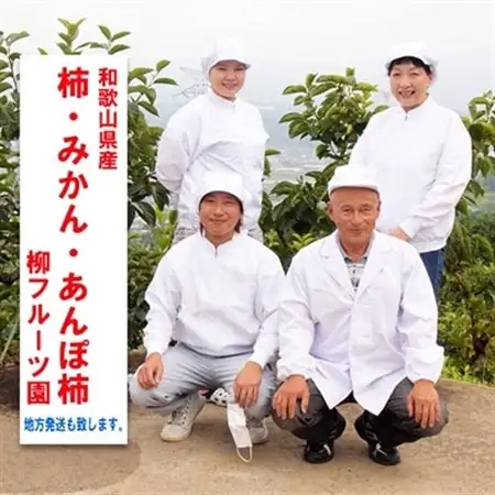 柿【先行受付】柳フルーツ園 たねなし柿 (12個 箱入り) ギフトにも最適!_果物・フルーツ 柿（カキ）  かき_【1021100】