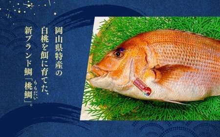 【父の日】岡山ブランド魚 桃鯛 鯛めしと桃鯛漬け丼セット （桃鯛めしの具 合計約550g×1食分・桃鯛の漬け丼 約80g×2食分） 鯛めし 丼 セット 小分け 簡単調理 冷凍 岡山県 倉敷市