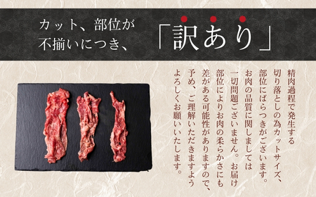 豊橋牛 定期便3回隔月 1kg 国産 牛肉