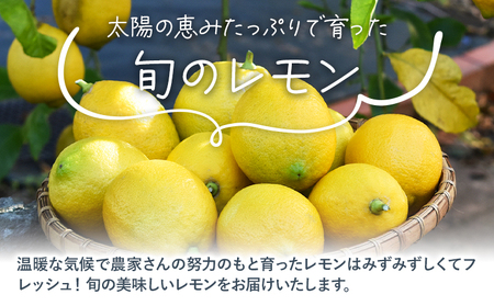 訳あり レモン 3kg《10月上旬-12月下旬頃出荷)》熊本県 津奈木町 青果物 レモン れもん 果物 フルーツ 国産 家庭用