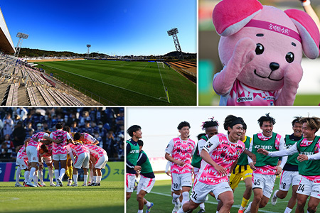 【サッカー 支援】 テゲバジャーロ 宮崎 J2 昇格 応援 500,000円 S28-05