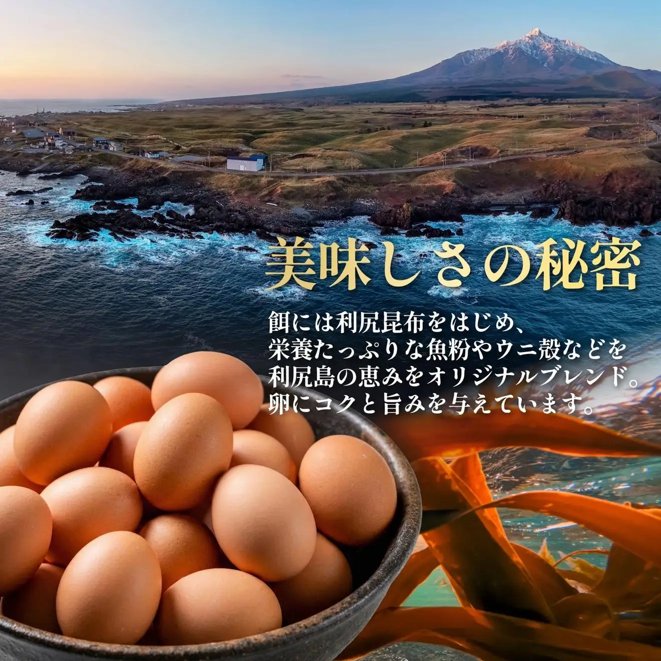 【2026年先行受付】利尻島大自然養鶏卵 「島魂」！ ６個入り×3パック（計１８個）【5月中旬より順次出荷】｜北海道 利尻島 たまご 濃厚 利尻昆布 卵かけご飯 利尻町 鶏卵 産地直送 お取り寄せ [1100006]