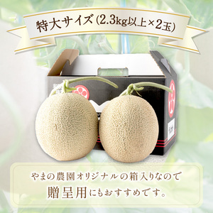 【1269】やまの農園　感謝のメロン～一期一会「べんけい」～2玉≪先行予約≫【2026年7月中旬より順次発送予定】