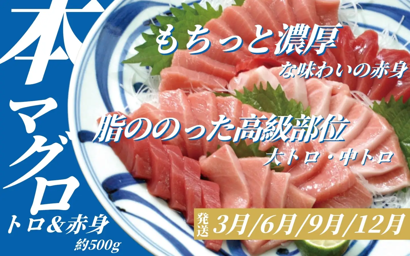 定期便 【全3回】海の幸定期便【tkb607】