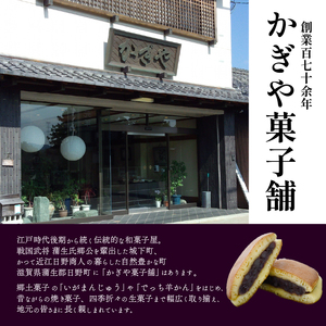 焼き菓子 16個 最中 どらやき そばまんじゅう 栗まんじゅう 詰め合わせ 簡易包装